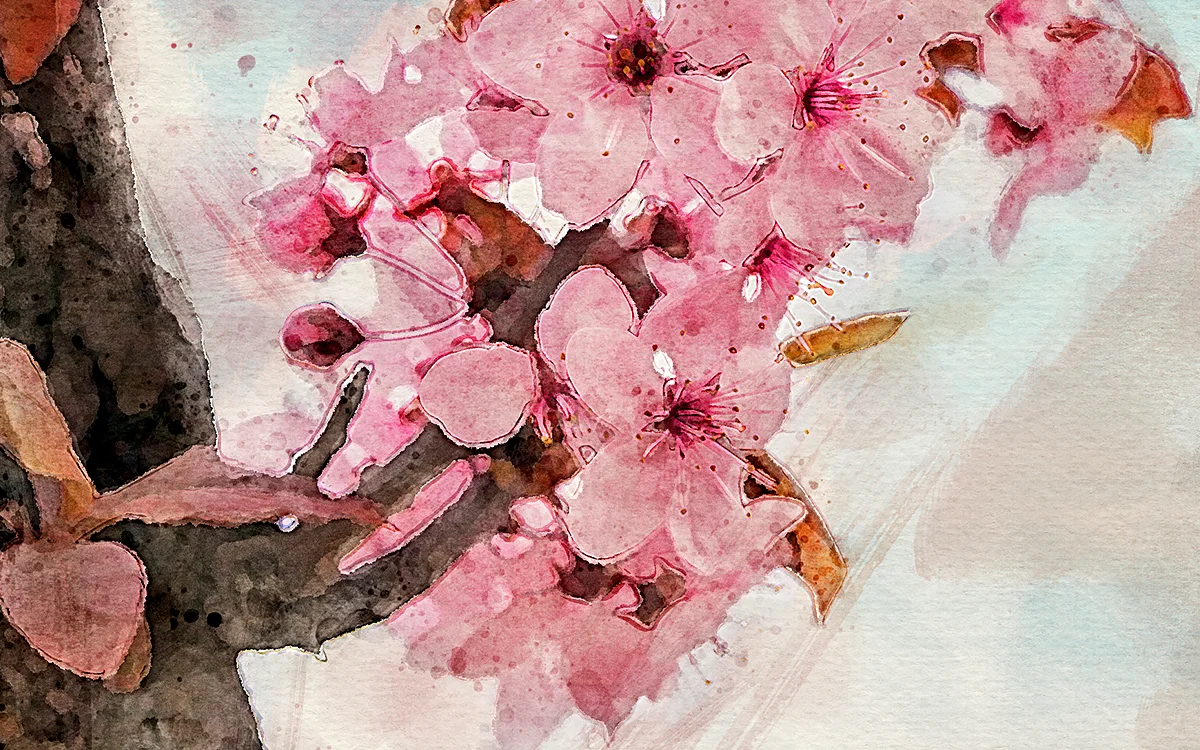Watercolor Artist action set cover